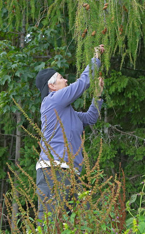 CRW_0656.jpg