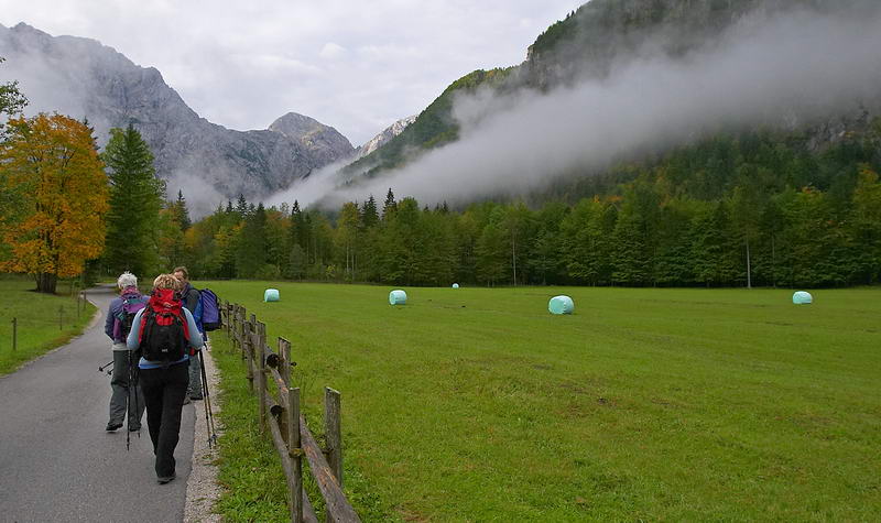 CRW_0736.jpg