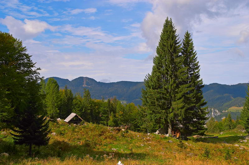 CRW_0808.jpg