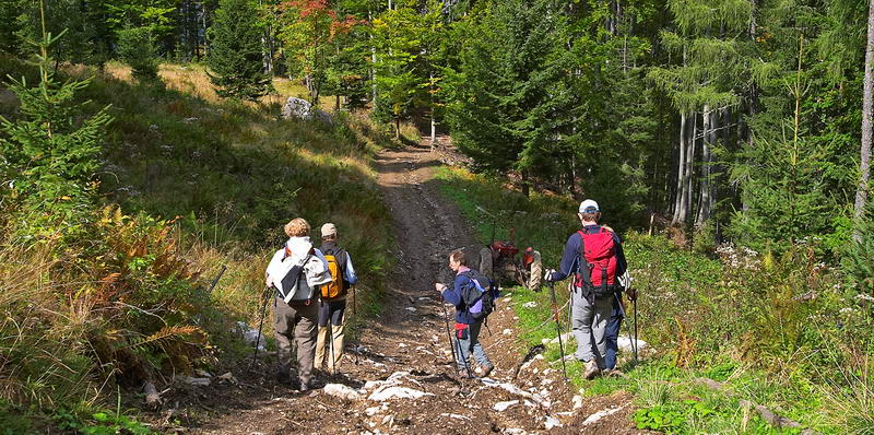CRW_0813.jpg