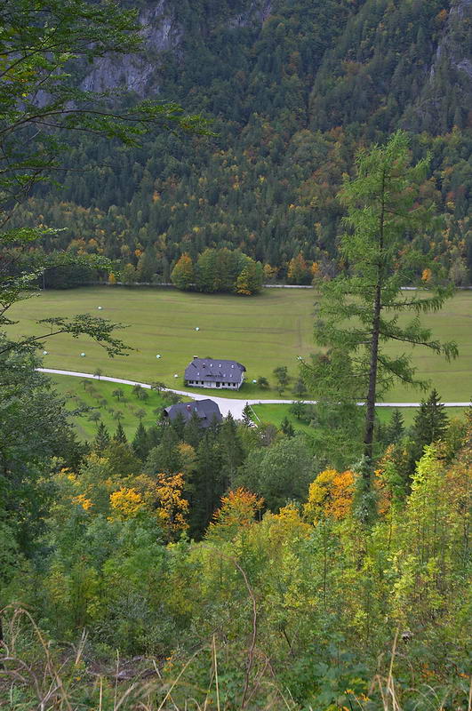 CRW_0817.jpg
