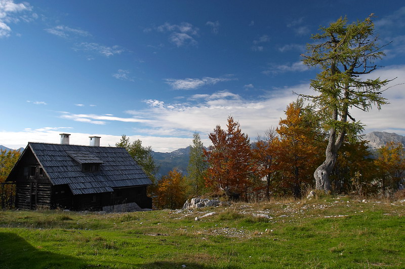 CRW_1193.jpg