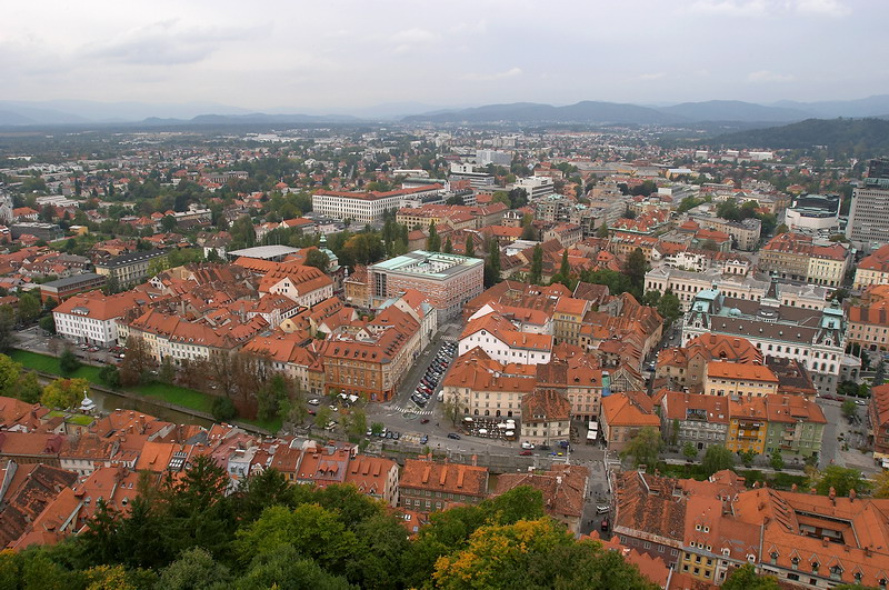 CRW_1203.jpg
