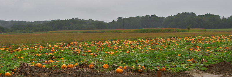 CRW_0153.jpg