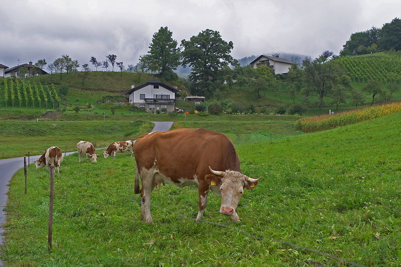 CRW_0214.jpg