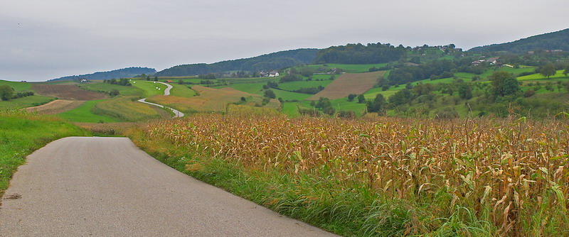 CRW_0270.jpg