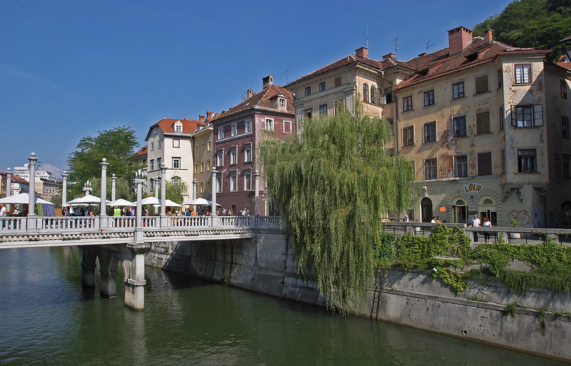 CRW_0425.jpg