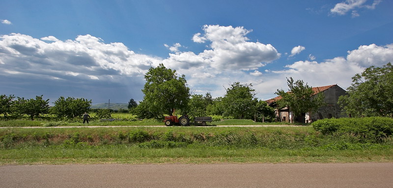 _MG_8986.jpg