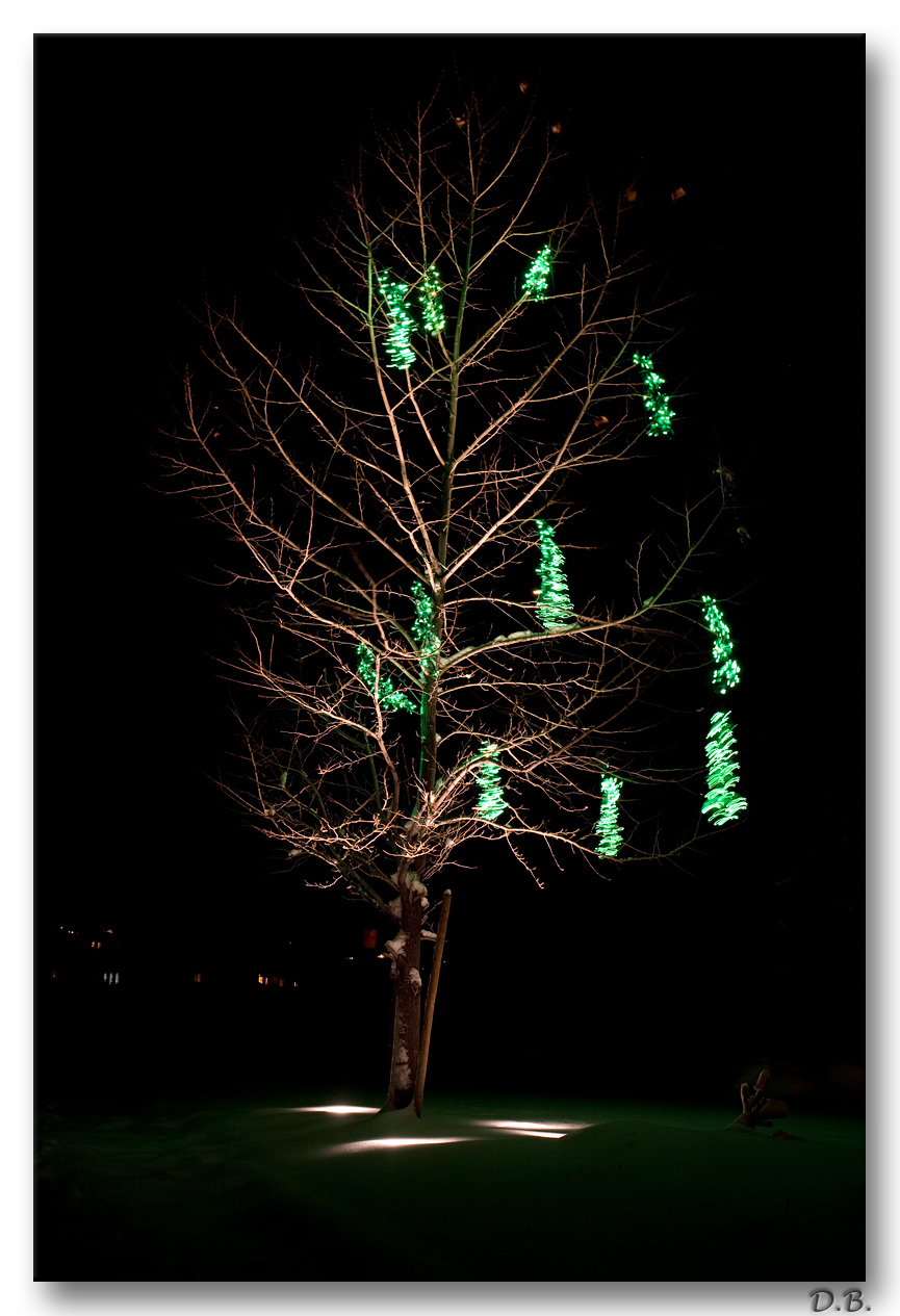 Snowy Green Tree 1-7-8