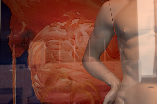 torso.jpg