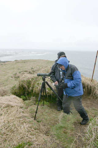 Reef-point-2.jpg