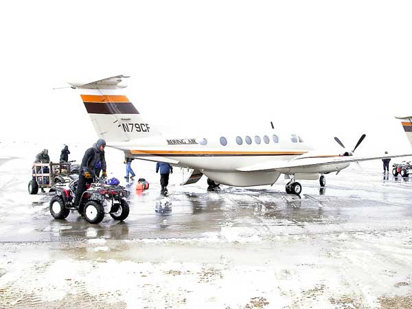 Snowy-Arrival.jpg