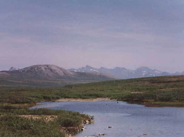 Kougarok-Rd.jpg