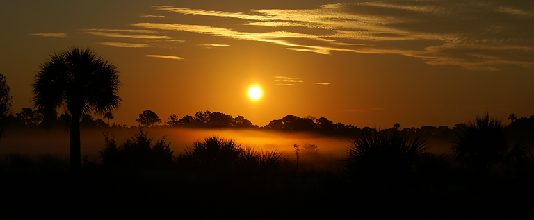 Morning mist
