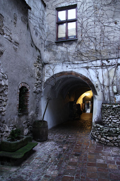 Secret garden