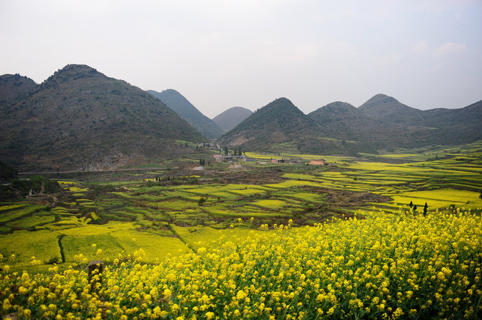 Luoping032