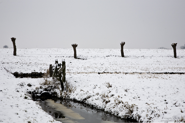 Winter polder lines, 2010