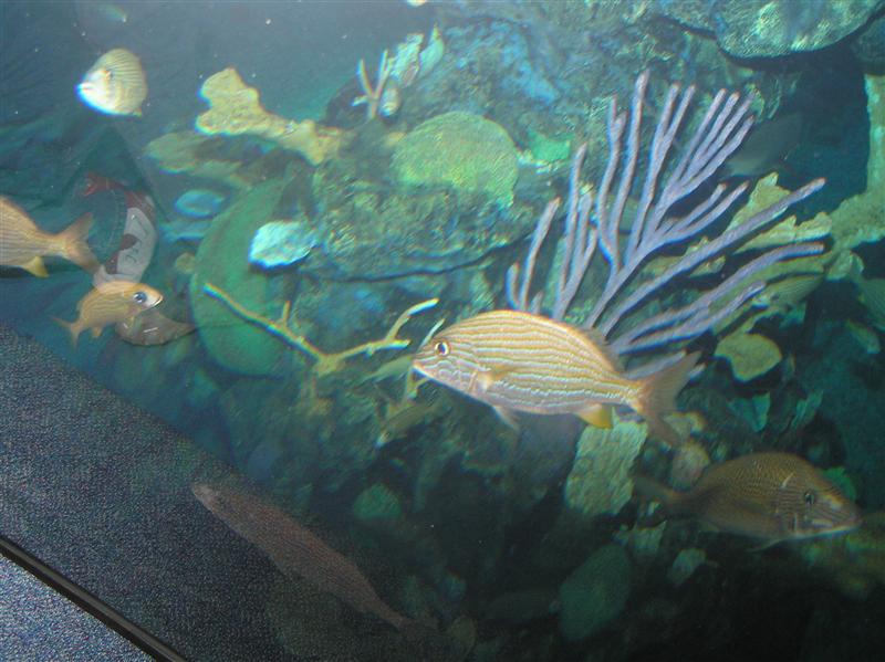 pb301695.jpg