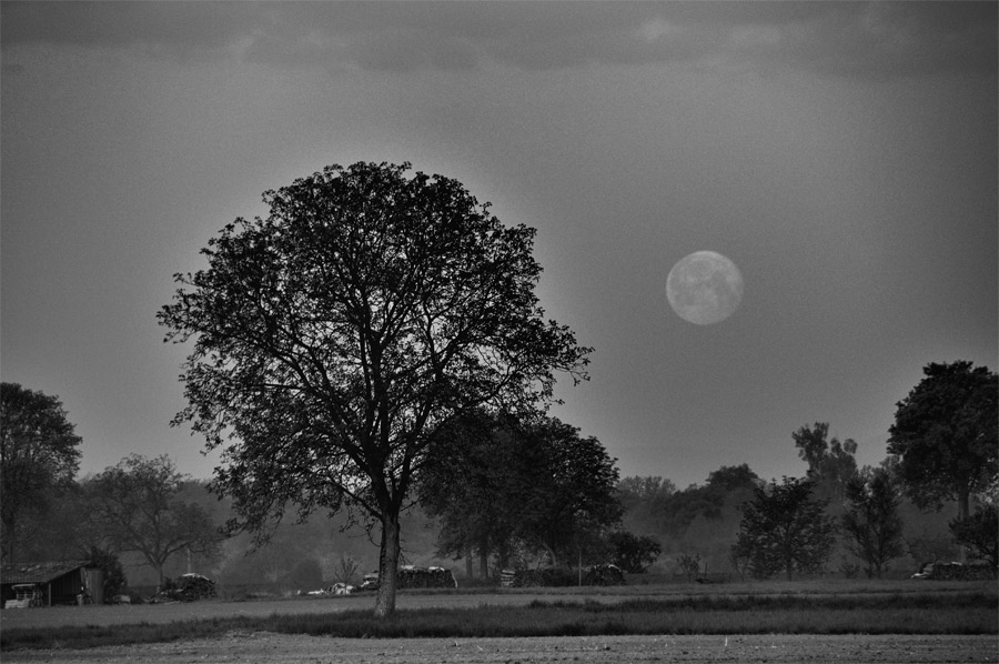 coucher de lune