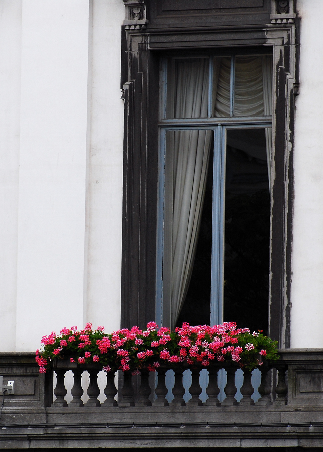 DSC_2225.jpg