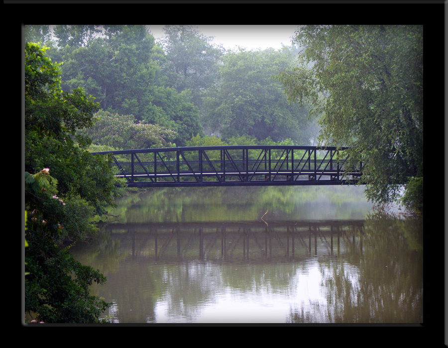 The bridge in summer