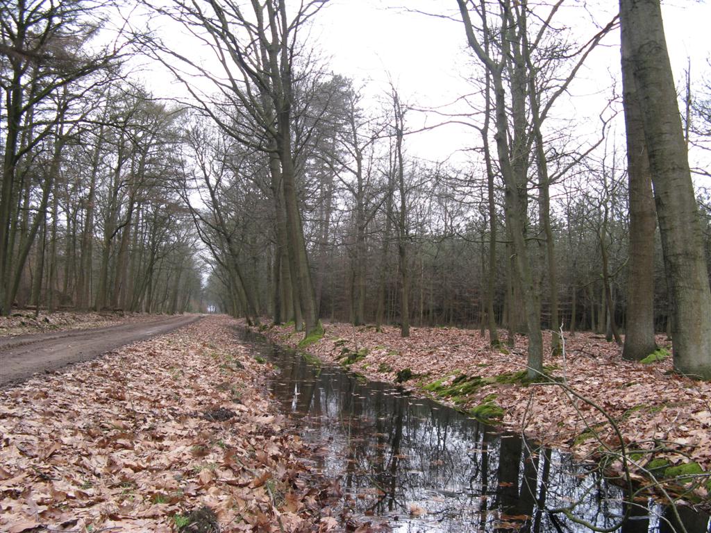 Staatsbos Ravels