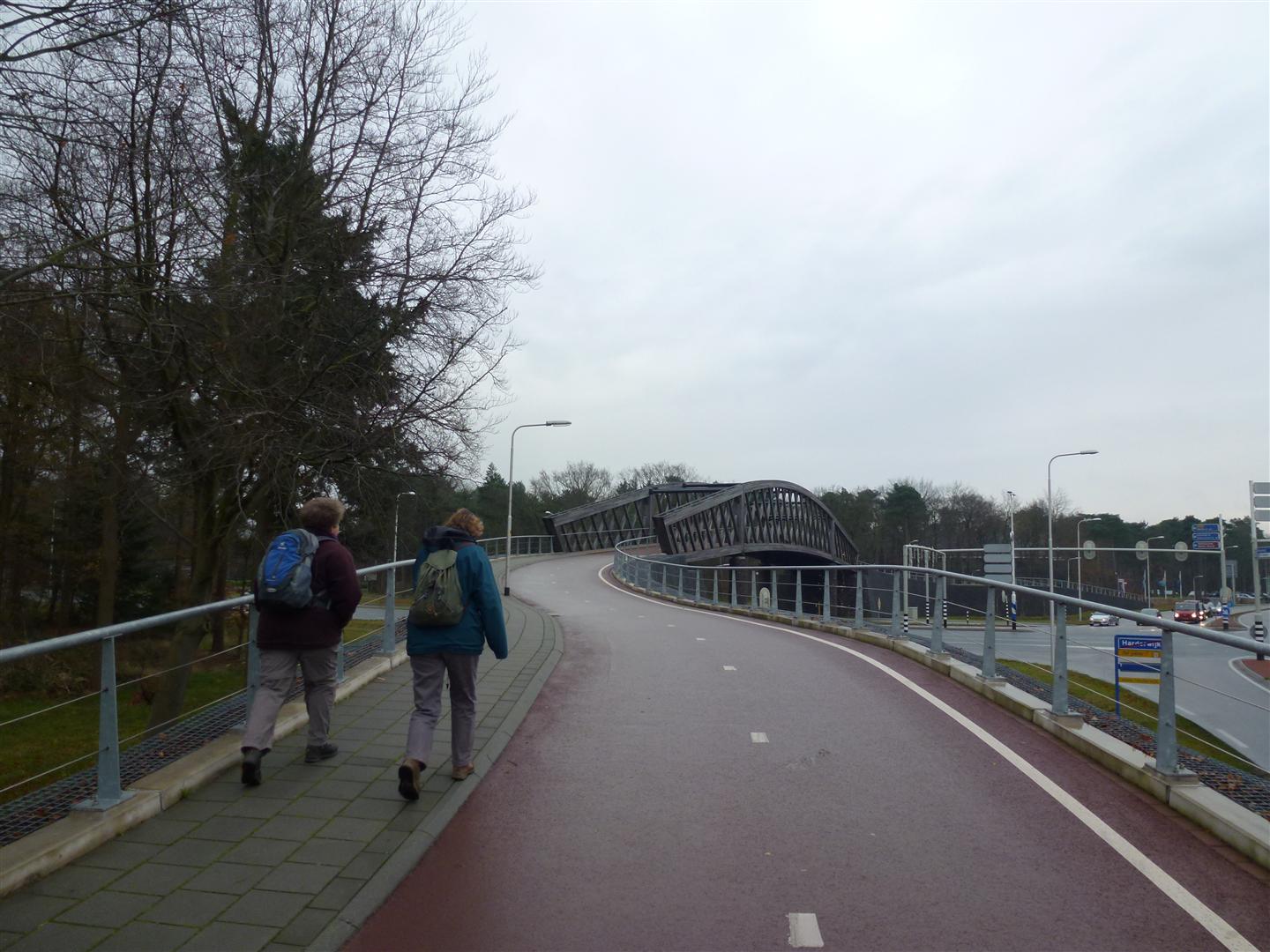 Brug over Ceintuurbaan