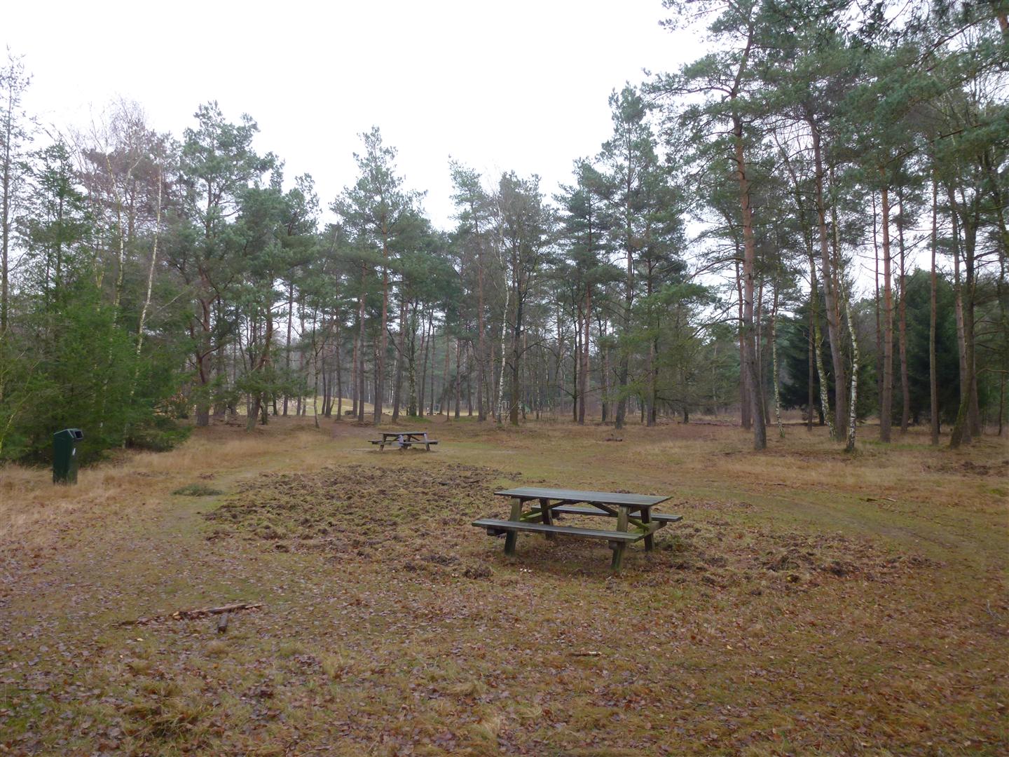 Harderwijker Bos 