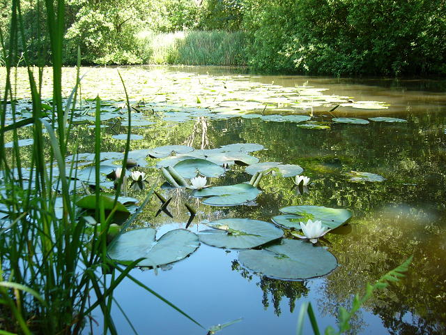 langs het Noord-Willemskanaal