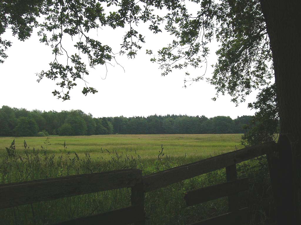 stroomdal Drentse Aa