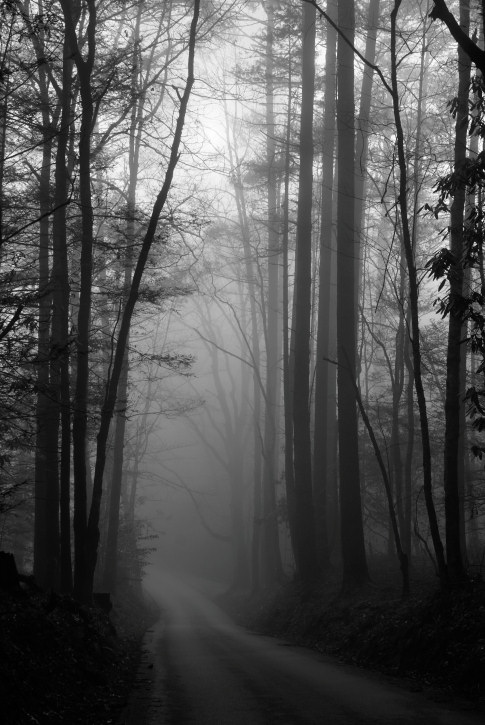 JPG CS BW Lonely Road DSC_9360.jpg