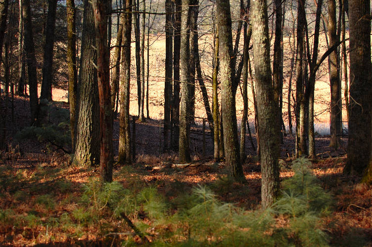 JPG 2CS SpecialPlace DSC_0563.jpg