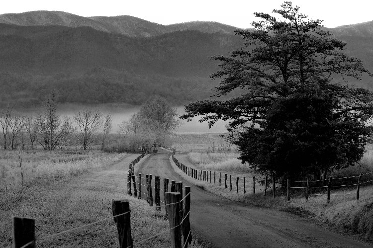 JPG CS BW HyattFog DSC_0485.jpg