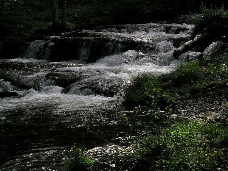 JPG CS ParsonsBranch P4230673.jpg