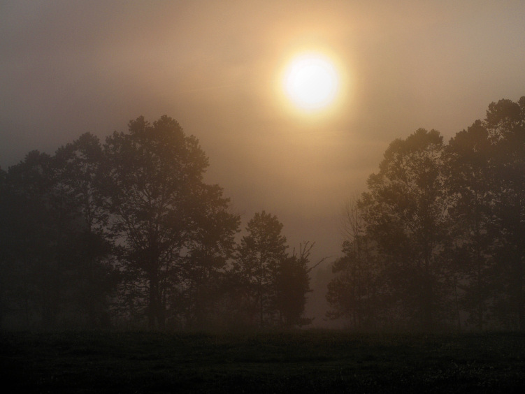 JPG CCS SunnyFog P9100104.jpg