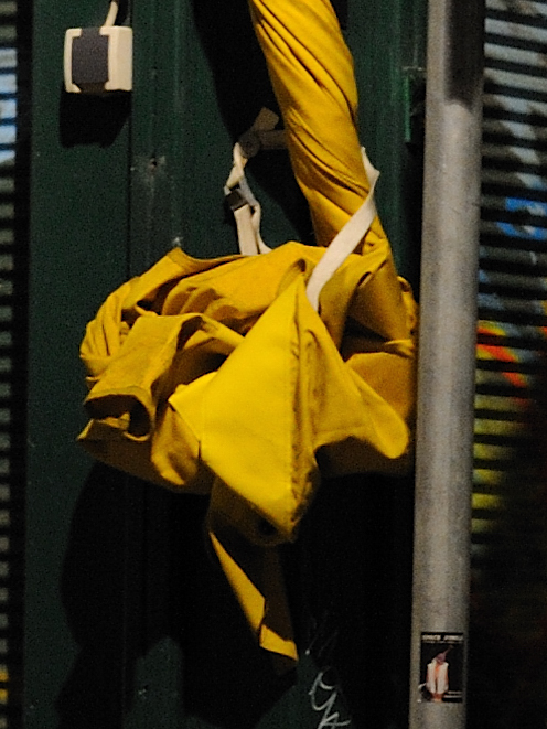 D3S_5190-crop.jpg