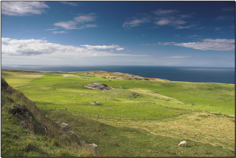 Great Orme.jpg