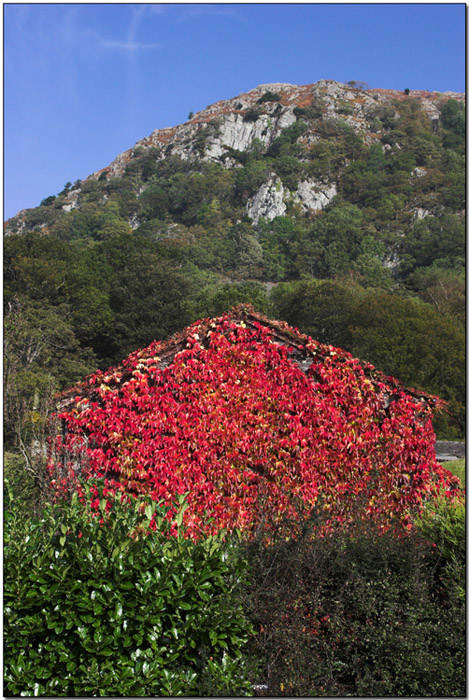 50968519.RedBarn.jpg