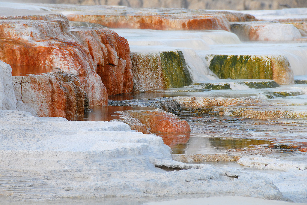 DSC_2672.jpg