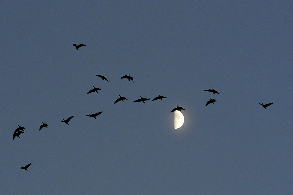 DSC_4768.jpg