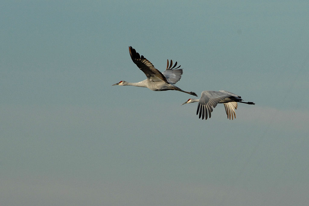 DSC_4882.jpg