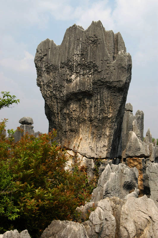 DSC_9723.jpg