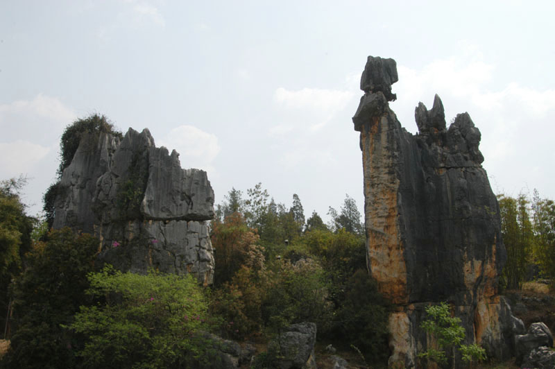 DSC_9739.jpg