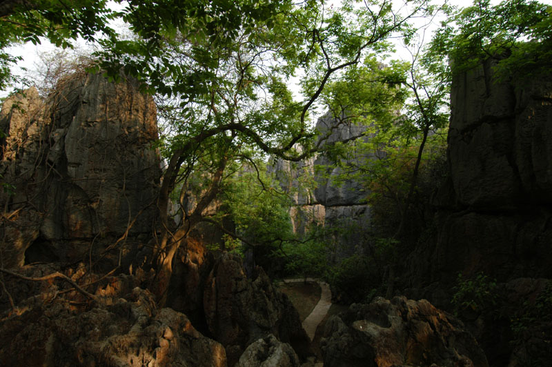 DSC_9665.jpg