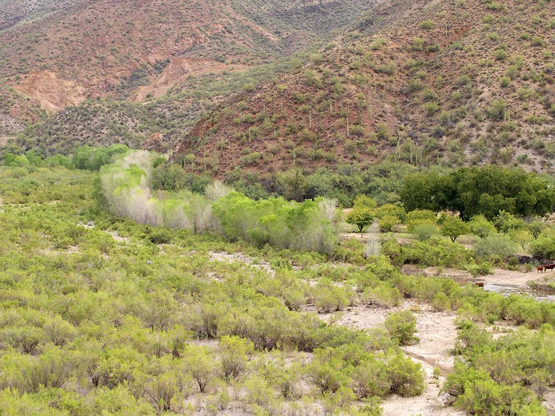 Aravaipa Creek