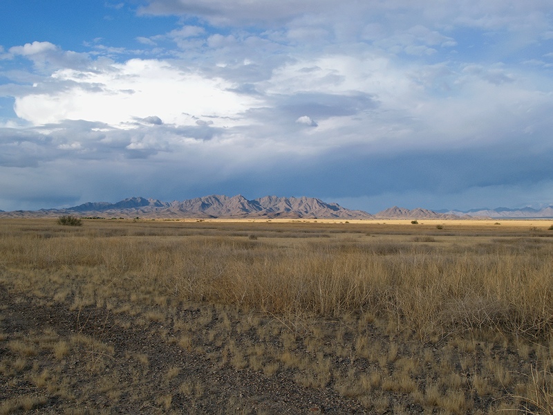 Sonoran Desert