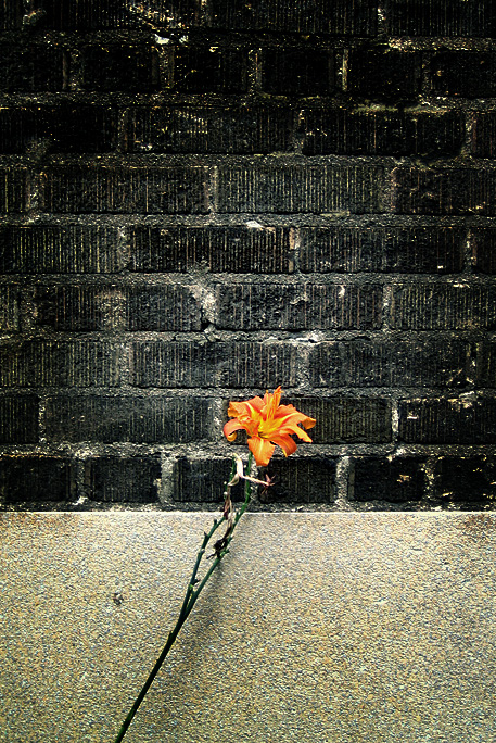 11-Sep