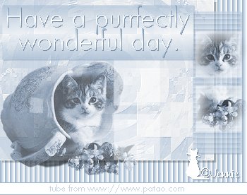 purrfectday