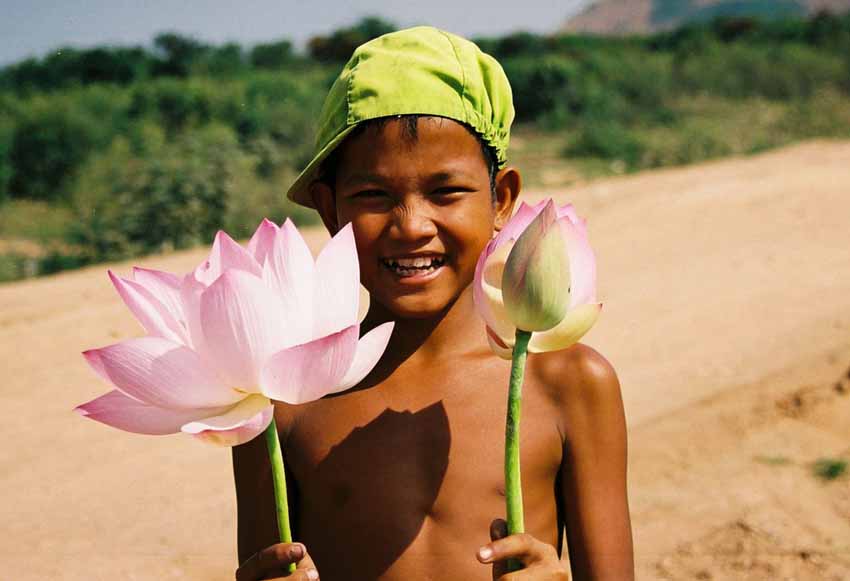 Lotus Flower Boy
