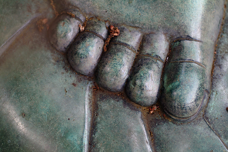 Toes